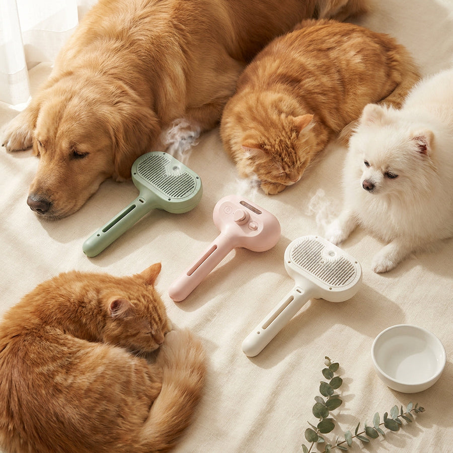 How to Actually Keep Your Home Clean When You Have Pets (A Pet Mom's Honest Guide)