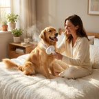 Pet Steam Comb