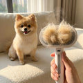 Pet Steam Comb