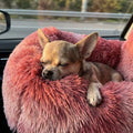 Chihuahua sleeping peacefully in gradient rose red car dog bed during road trip