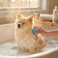 Silicone Bath Brush