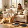 Treat Dispensing Scratching Board