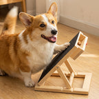 Treat Dispensing Scratching Board