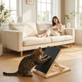 Treat Dispensing Scratching Board