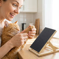 Treat Dispensing Scratching Board