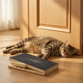 Treat Dispensing Scratching Board