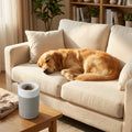 Dog Paw Cleaner